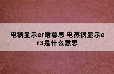 电锅显示er啥意思 电蒸锅显示er3是什么意思